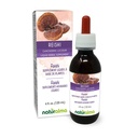Naturalma Reishi (Ganoderma lucidum) Fungus או Mushroom אלכוהול חינם Tincture - 4 oz נוזל לחלץ טיפות - תוסף צמחי - טבעוני