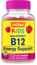 ובכן, ויטמין B12 חניכיים לילדים - Boost Energy, שיפור תפקוד המוח, וחיזוק מערכת החיסון - non-GMO, Gluten-Free - Great Tasting ברי פלאמור - Easy to Chew - 60 מסטיק