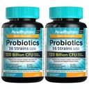 NewRhythm Probiotics 120 מיליארד CFU 36 סטרינס, 3-in-1 Probiotics for Digestive Health & Immune Support with Prebiotics & Enzymes, Probioticos for Women & Men, תוספת טבעונית ממוקדת, 604%
