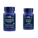 Life Extension Pycnogenol הצרפתי Pine Bark & Gotu Kola Arterial Health Supplements - 60 & 30 קפסולות צמחוניות