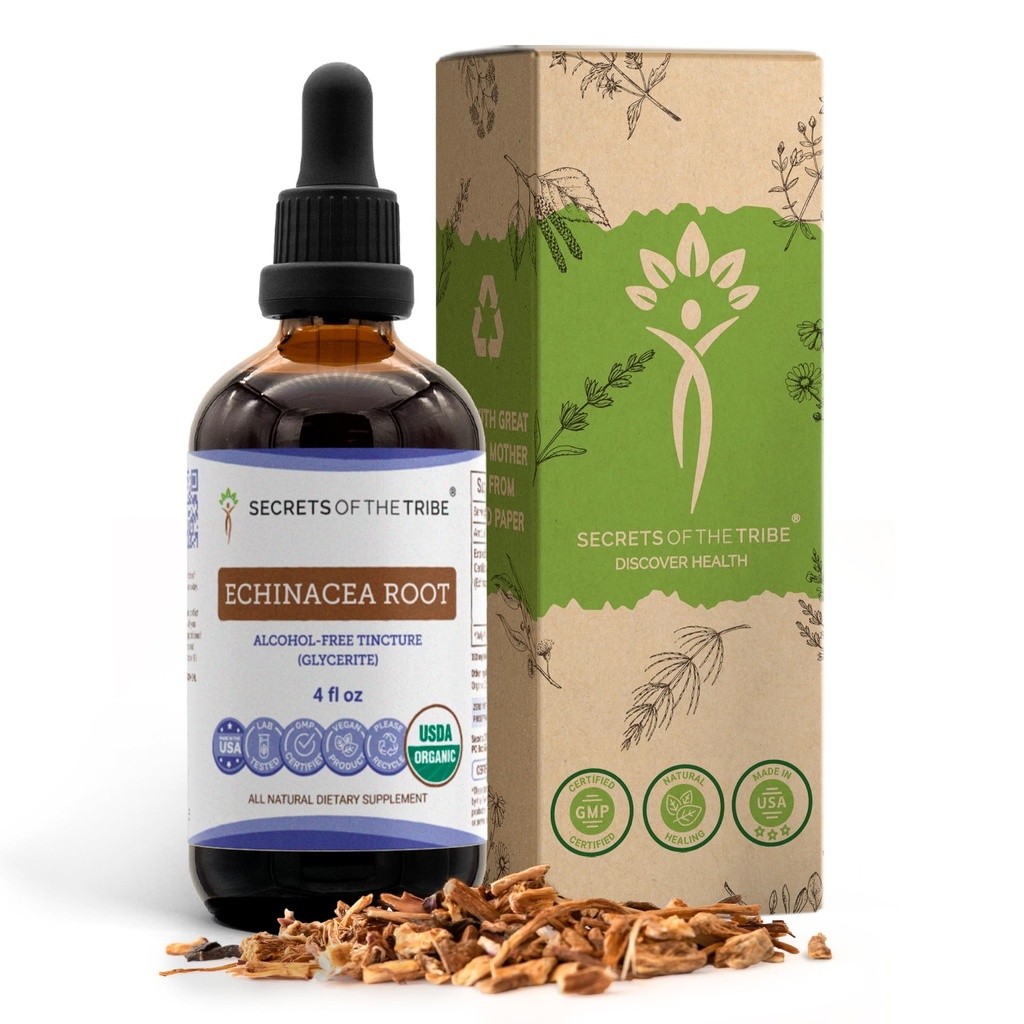 Echinacea Root USDA אורגני Tincture | מזון ללא אלכוהול, High-Potency Herbal Drops, Immune System Health | עשוי מ-100% מוסמך אורגני Echinacea Root (Echinacea Purpurea) 4 ozozozozozs, Immune System Health