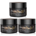 Shilajit Purest ההימלאיה האורגני Shilajit Resin - Gold Class 100% Purity Shilajit עם Fulvic Acid & 85+ Trace מינרלים מורכבים עבור אנרגיה & Immune תמיכה, Pack של 3 (6 חודשים)
