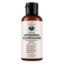 AMANDEAN Liposomal Glutathione תוסף. נוזל מופחת Setria 500mg. Immune Support, Brain Health, Liver Detox, Skin Health. Phosphatidylcholine מ Non-GMO Sunflower Lecithin. Soy-Free & Vegan
