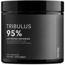 Tribulus Terrestris for Men - Ultra High Potency 25:1 הפקה עם 95% Saponins - 1300 מ"ג Pure & Concentrated פורמולה - מעבדה צד שלישי נבדק עבור Purity & Quality - 240 קפסולות