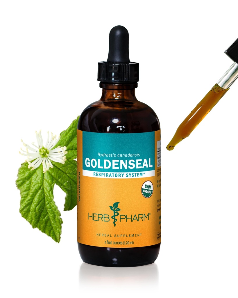 Herb Pharm מוסמך אורגני Goldenseal לחלץ תמיכה מערכת הנשימה - 4 Ounce