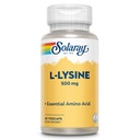 SOLAרי L Lysine 500 מ"ג קפסולות - Free-Form Essential Amino Acids תוסף - תמיכה ב- L-Lysine Amino Acid - מעבדה מאומתת, 60 יום ערבות, 60 משרתים, 60 VegCaps