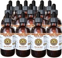 White Pine Liquid Extract, White Pine (Pinus Strobus) Bark אבקת Tincture, תוסף צמחי, הוואי Pharm, Made בארה"ב, 15x4 fl.oz