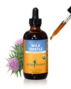 Herb Pharm חלב זהtle Seed לחלץ תמיכה פונקציונלי Liver - 4 Ounce (DMILK04)