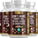 תוספת של אריה טורקיה Tail Reishi Cordyceps Chaga Marshmallow Root - 180 הרוזן