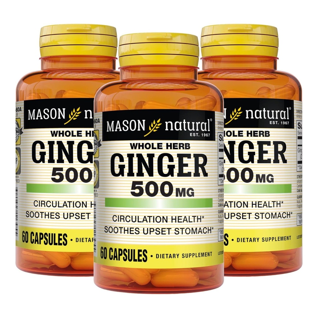 MASON NATURAL Whole Herb ג'ינג'ר 500 מ"ג, 6 חודשים אספקה, תוסף צמחי טבעי, 60 קפסולות (3 Pack)