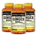 MASON NATURAL Whole Herb ג'ינג'ר 500 מ"ג, 6 חודשים אספקה, תוסף צמחי טבעי, 60 קפסולות (3 Pack)
