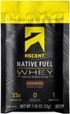 אבקת חלבון אינדיאנית Whey - שוקולד - 15 מנות יחיד