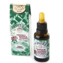 Pon Lee ברזיל Green Bee Propolis נוזל לא אלכוהול 30ML 1 Pack