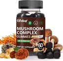 9 ב 1 Mushroom חניכיים עם אריה Mane עבור תוספי מזון להתמקד ואנרגיה כדי לתמוך במערכת החיסון De-Stress Boost Mood & אנרגיה 60 הרוזן Kombucha פלמור