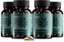 BIOMA Probiotics for Weight Management & Digestive Health, 3 מתוך 1 Gut Health Probiotics ו-Prebiotics/Postbiotics, Slow Release Synbiotic Pro כמוסות עבור Gut Health Multi Enzyme (240 Caps)