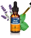 Herb Pharm חרדה Soother נוזל פורמולה עם Kava For Nervous System תמיכה - 1 Ounce