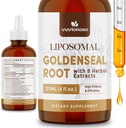 Goldenseal Root Extracting 3000 מ"ג עבור Immune ו- Respiratory Wellness - Fast Absorbing
