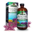 תשובתו של Nature's answer Marine Based Calcium Magnesium, Vanilla Cream, 16-Ounce | Natural Immune Support