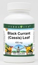 Black Currant (Cassis) Leaf - 450 מ"ג (100 קפסולות, ZIN: 513765) - 3 Pack