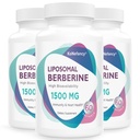 Berberine HCL תוסף 1500 מ"ג - High Bioavailability Liposomal Berberine קפסולות לנשים וגברים, AMPK Activator לבריאות קרדיווסקולרית, Sugar-Free, non-GMO,180 Softgels