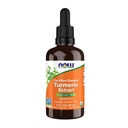 עכשיו מזונות תוספי מזון, מזון טורקימי מוסמך, Ayurvedic Herb, תמצית נוזלי, שורש Turmeric Root 2 נוזל