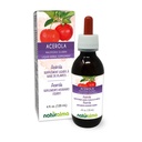 Naturalma Acerola (Malpighia glabra) פירות אלכוהול חינם Tincture - עשיר ויטמין C - 4 oz נוזל לחלץ טיפות - Herbal תוסף - טבעוני