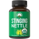 USDA אורגני Sting Nettle טבעוני קפסולות נוצר עם Stinging Nettle Leaf אבקת עבור Prostate, צמיחת שיער, אלרגיה. עדיף על שורש או עיין בפלט. צמחי מבוסס טבליות תוספת צמח, 60 גלולות