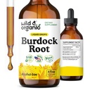 Wild & Organic Burdock Root Tincture - תוספת נוזלית עבור Antioxidant, Detox, עיכול תמיכה - Burdock Root Herb טיפות - טבעוני, סוכר ואלכוהול חינם - 4 oz