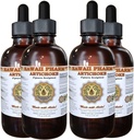 Artichoke נוזל לחלץ, אורגני Artichoke (Cynara scolymus) Tincture 4x4 oz