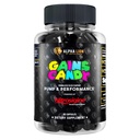 ALPHA LION Gains Candy, גלולות תוספת עבור משאבת שריר ו זרימת דם, Nitric Oxide Booster, תומך מיקוד נפש, השתמש יומי כדי לשדרג את ביצועי העבודה, 63 קפסולות (Nitrosigine)