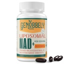800 מ"ג Liposomal NAD+ תוספת עם Nicotinamide Riboside 200 מ"ג, Trans-Resveratrol 100 מ"ג - תוסף NAD אמיתי לתיקון DNA, הזדקנות בריאה, תפקוד המוח - 60 יום אספקה