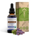 בוגוורד USDA אורגני | Alcohol-FREE Extracts, High-Potency Herbal Drops, Respiratory System | Made From 100% Certified Organic Organic Bagleweed (Ze Lan, Lycopus Virginicus) Dried Herb (2 FL OZ)