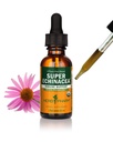 Herb Pharm מוסמך אורגני Super Echinacea לחלץ תמיכה מערכת החיסון Active Immune - 1 Ounce (DSUPER01)