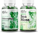 Wild & Organic Chlorophyll Gummies & Sea Moss חניכיים