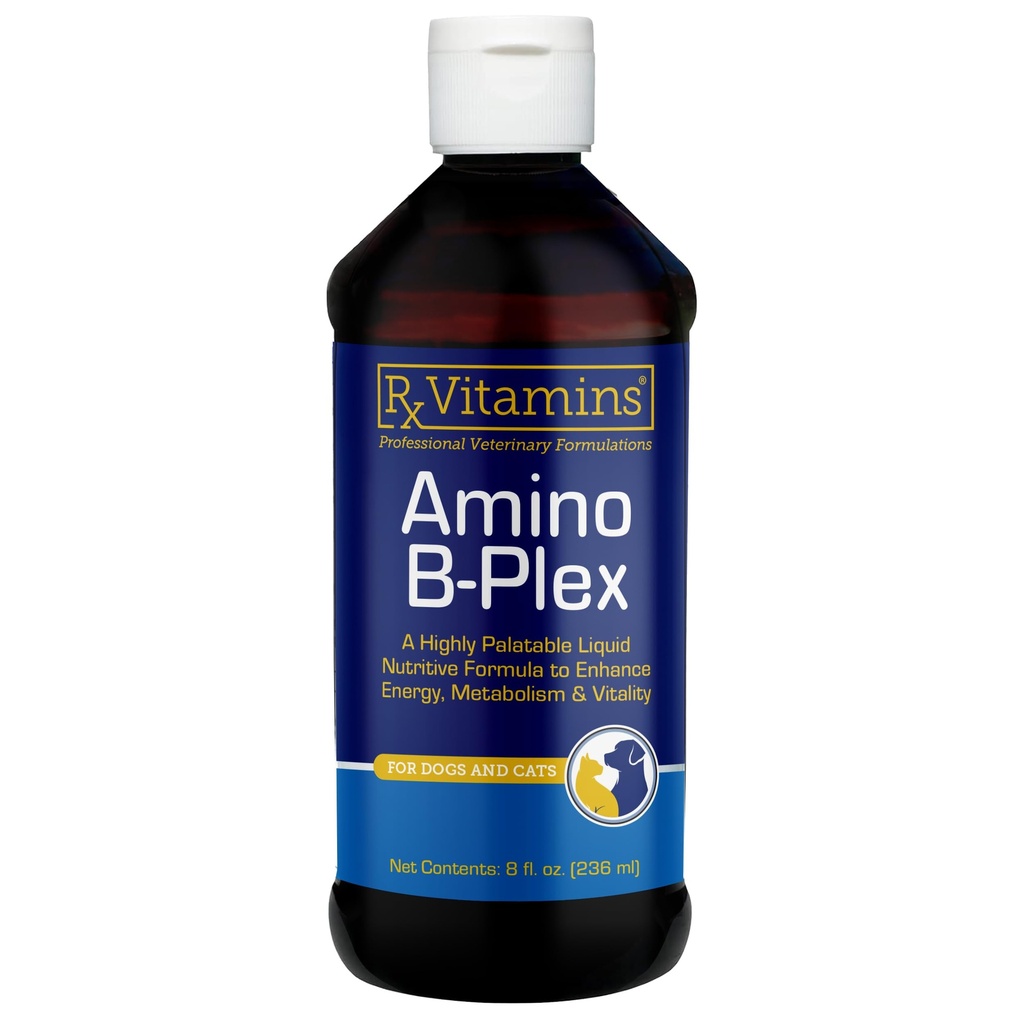 Rx ויטמינים Amino B-Plex Cat & הכלב תוסף - ויטמין B מורכב נוזל פלוס Amino Acids עבור כלבים וחתולים - Appetite Booster ו Cat & Dog Weight Gainer -s & ויטמינים - 8 oz