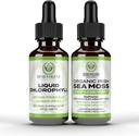 Benevolent Chlorophyll טיפות + Irish Sea Mos Drops 2oz, 4 חודשים אספקת נוזל Chlorophyll תוסף פנימי Deodorizer & Radiant Skin