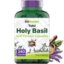 tnvitamins Holy בזיל קפסולות (1,600 מ"ג Equivalent - 240 קפסולות) | 8 חודשים אספקה | AKA Tulsi | May Promote Stress & Frustration Relief* | הסתגלות, ו- Ayurvedic Herbdic Herbbbsi