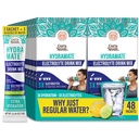GuruNandahydration Support drink Mix - אלקטרוליט אבקת Packets עבור Dehydration, פעילות גופנית ואנרגיה - לא תוספת Sweeteners, non-GMO, לימון טבעי Lime Flavor - 48 הרוזן (0.56 oz כל אחד)