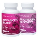 חברת Vital Plan Immune Support Supplements by Dr. Bill Rawls - Immune Boost Bundle w/ Japanese Knotweed, Cat's Claw, סינית Skullcap & Reishi Mushroom