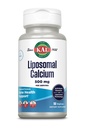KAL Liposomal Calcium 500 מ"ג, תוספת גבוהה של Absorption Calcium, Essential Calcium Support, Vegan, Gluten Free, No Soy, 30 משרתים, 90 VegCaps
