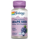 SOLAרי Grape Seed לחלץ 100 מ"ג פלוס Bioflavonoid Complex | בריאות Cardiovascular & Blood Vessel תמיכה