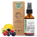 אורגני ZINC Boost Mist 40 מ"ג (Extraחוזק) - סוכר חינם עם Vit C ו-Elderberry לחלץ - נוזל נוזלי לבן עבור ילדים ומבוגרים - Easy Absorption - Non-GMO - 60 מ"ל) 60 ימים אספקה
