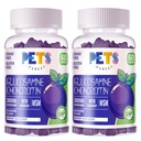 חיות מחמד Purest Glucosamine Chondroitin חניכיים עם MSM & Elderberry כוח נוסף - תמיכה משותפת, תמיכה אנטי-חמצן תמיכה תוספת למבוגרים, גברים ונשים.(2 Pack) Blueberry