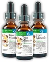 Morter Trace מינרלים ב-Coloidal Suspension (3 Pack) Morter HealthSystem Best Process Alkaline - חומרים מזינים Dense Trace Elements, Fulvic מינרלים & Amino Acids
