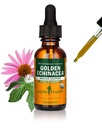 Herb Pharm מוסמך אורגני זהב Echinacea לחלץ תמיכה מערכת החיסון - 1 Ounce (DGOLDEN01)