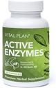 Vital Plan Active Enzymes תוסף על ידי ד"ר ביל רולס - Enzymes for Gut Health & Digestion - Protease, Bromelain, Lactase, Amylase & Lipase (120 קפסולות)