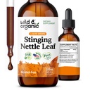 Wild & Organic Sting Nettle Leaf Extracts - Urinary Tract Support - נוזל Sting Nettle תוספת - Urtica Dioica Tincture - 2 מונטה - טבעוני, סוכר ואלכוהול חינם - 2 fl oz oz oz