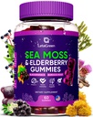 Irish Sea Mossss Gummies - Bladderwrack Burdock Root Elderberry ויטמין C & Zinc - 60 sungs Gummy Bears for Adults Kids Men - ויטמינים מבוגרים