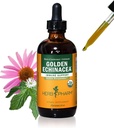 Herb Pharm מוסמך אורגני זהב Echinacea לחלץ תמיכה מערכת החיסון - 4 Ounce