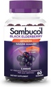 Sambucol Black Elderberry Gummies - Elderberry עם Zinc ו ויטמין C למבוגרים, Sambucus Gummies, Immune Support - 60 הרוזן